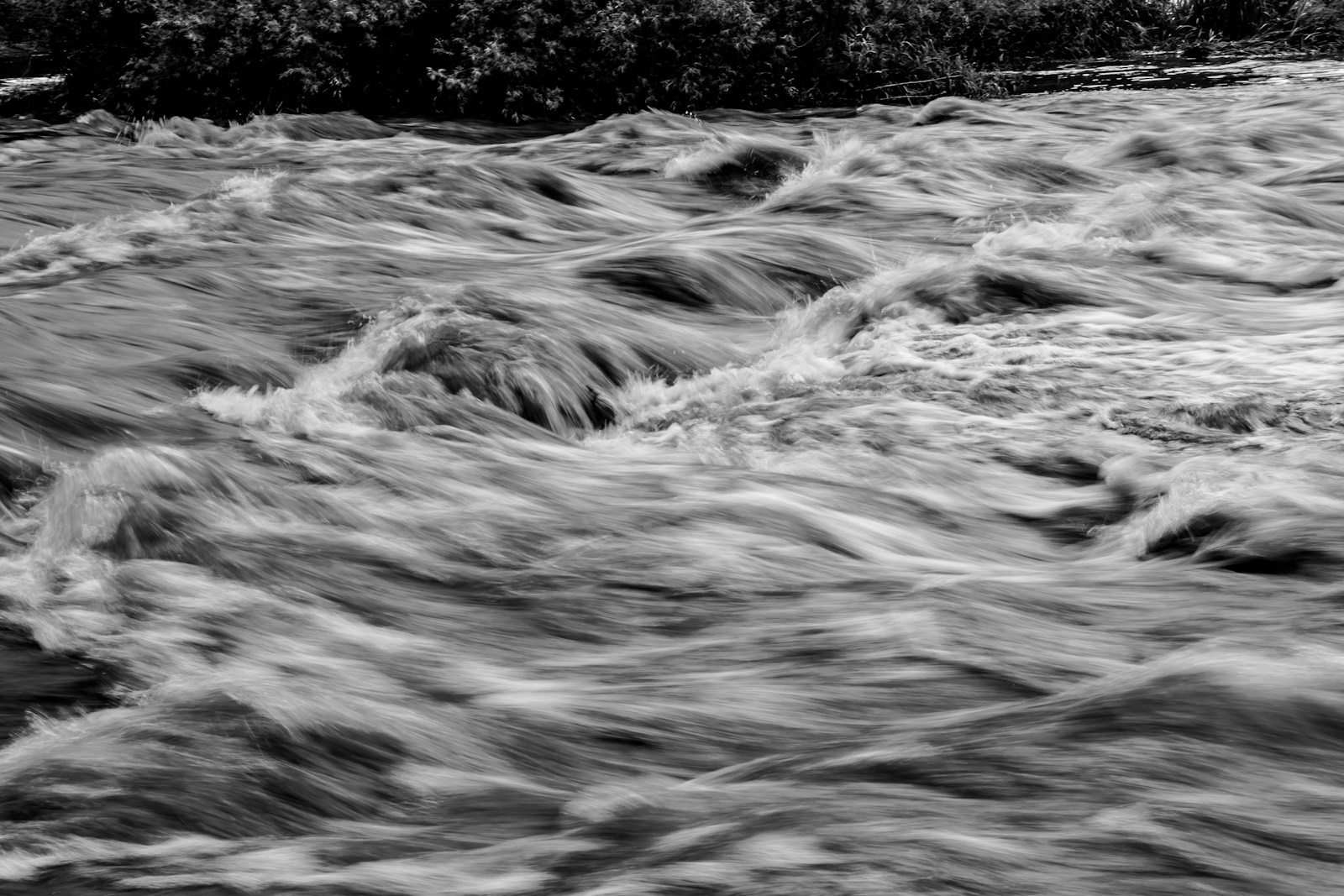 grayscale photo of water waves, flood insurance